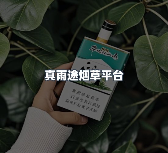 关于真雨途烟草平台